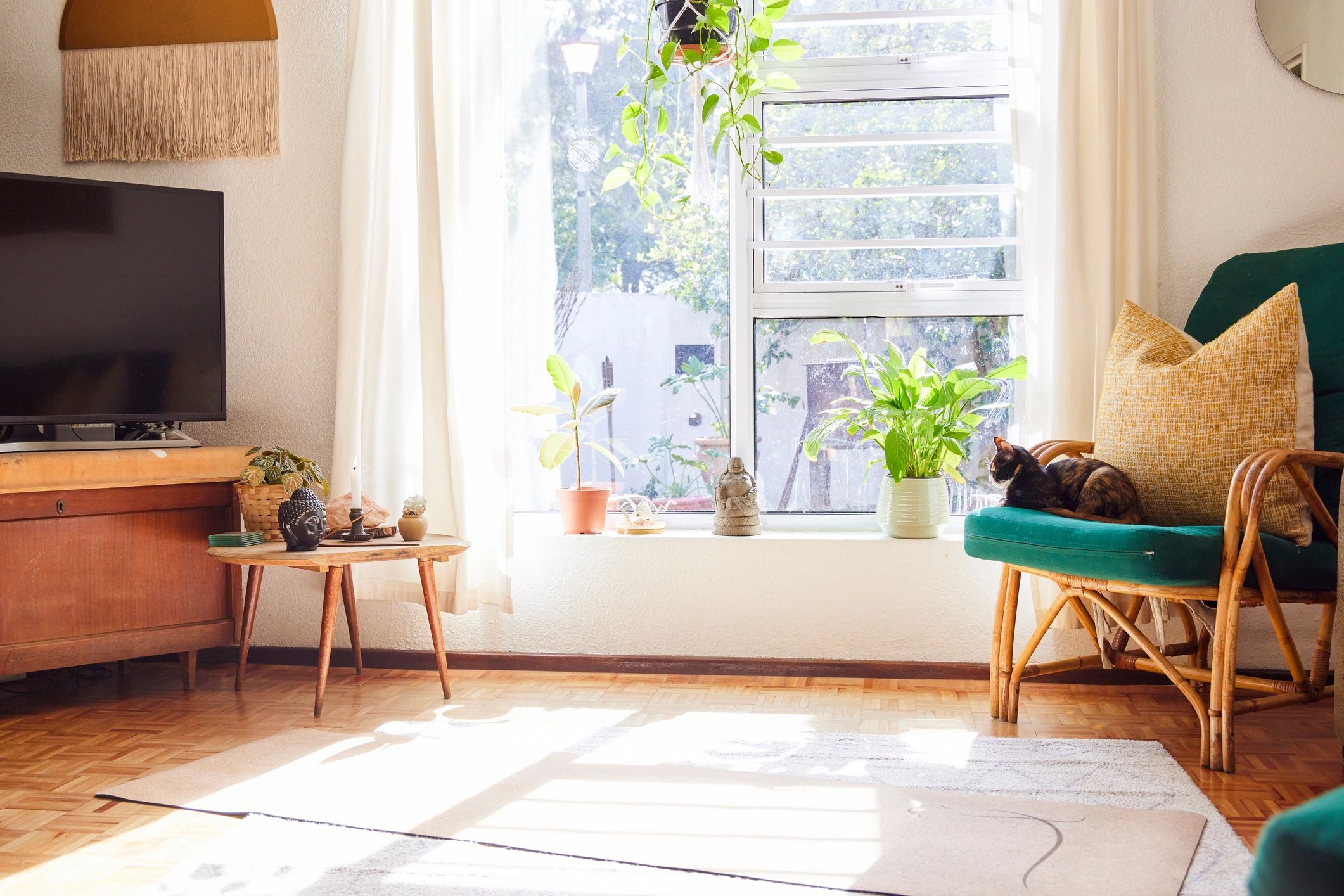 Bright, tidy living room with natural light